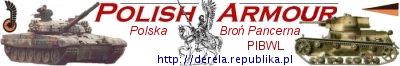 Polish Armor