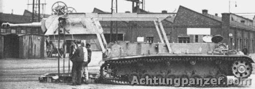 Heuschrecke 10